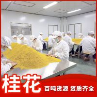 天然无添加桂花食品原料可制香、可食用、可泡茶、可酿酒