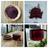 西安宾果生物提供桑葚浓缩汁粉