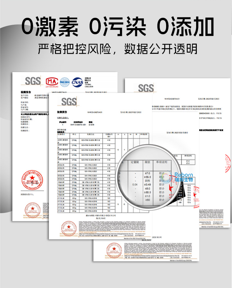 大豆详情09