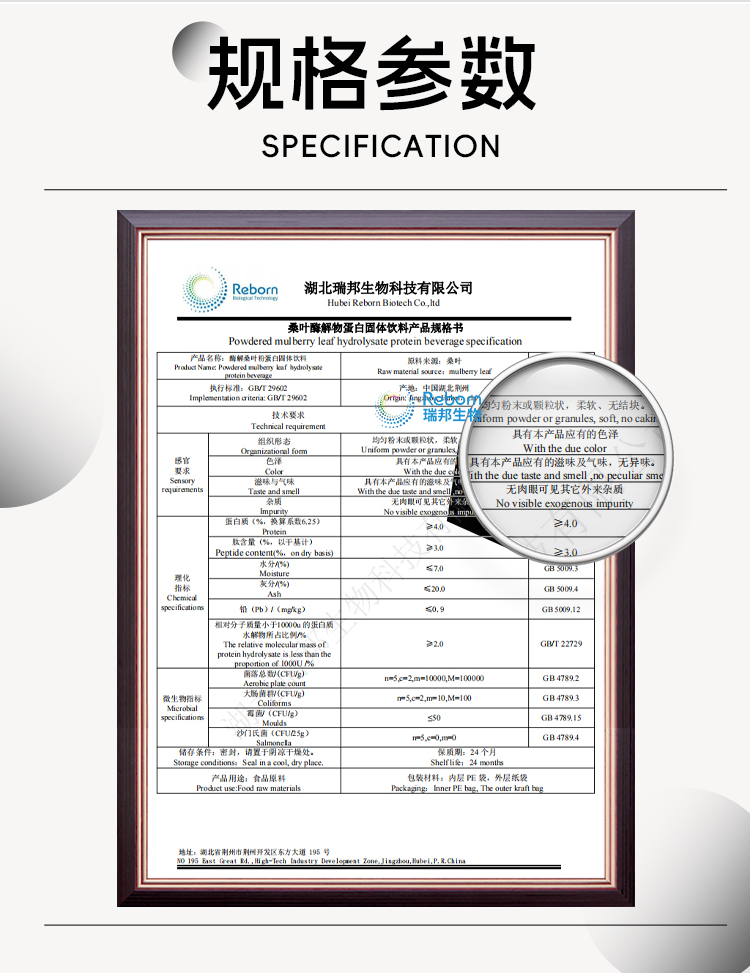 桑叶详情08新