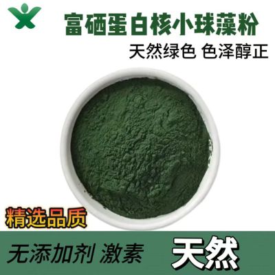 富硒蛋白核小球藻粉
