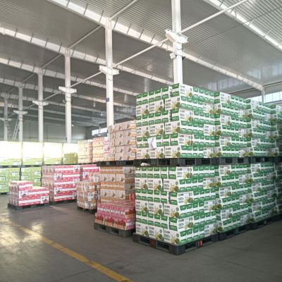饮料 OEM 贴牌代工 无菌冷灌无糖茶饮品 ODM 源头工厂